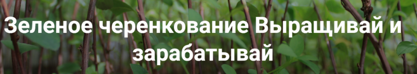 1757075715648.png