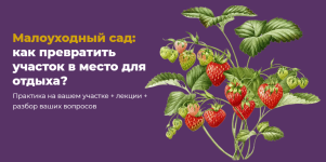 1757075727201.png